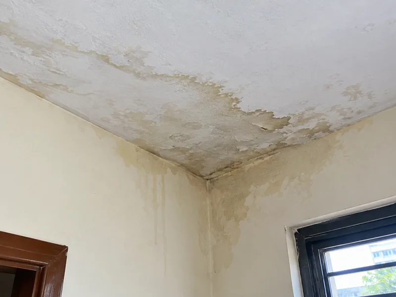 Ceiling and wall seepage with damp stains and peeling paint